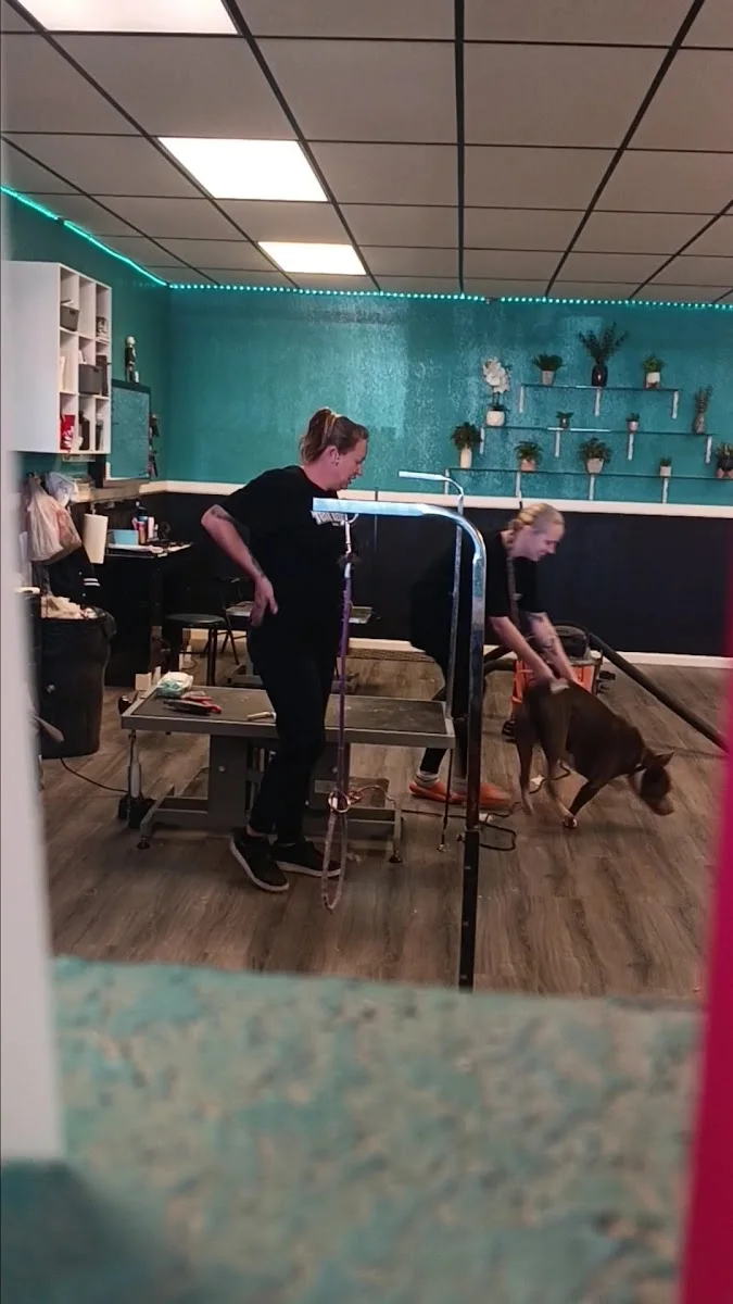 Inside Top Paw Grooming, two groomers working under a teal LED wall with plants on the shelves